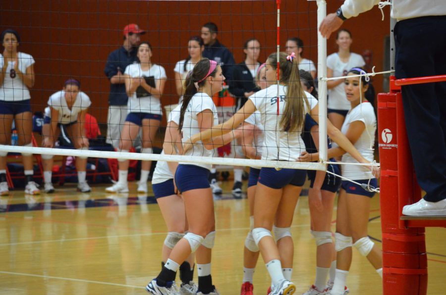 Bear Cub Volleyball returns to State Championship