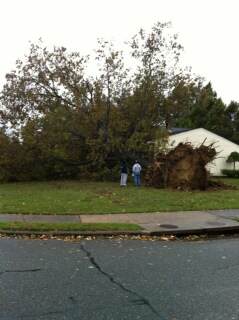 Hurricane Sandy ravages East Coast, students greatly affected