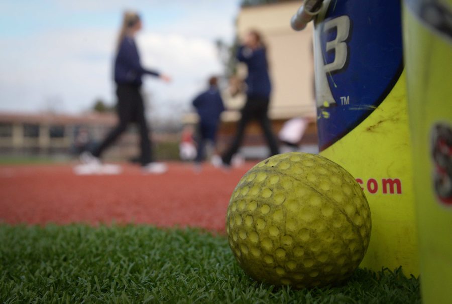 SRJC Softball Team Looking to Improve in 2013