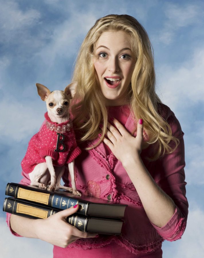 Student Sigrid Forsthe stars as Elle Woods in “Legally Blonde: The Musical” starting April 19. A “Legally Blonde” inspired chihuahua costume contest will begin at noon April 16 near Bertolini Student Center.