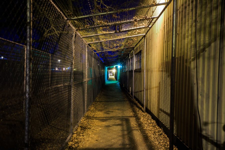 Ordinary spaces such as a walkway on the SRJC campus could be dangerous to women at night.