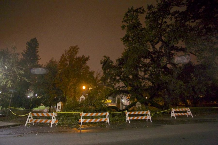 One branch of a mighty oak tree lays across the entrance from Mendocino Ave. to the Santa Rosa Junior College Nov. 19.