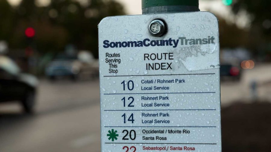 Sonoma County Transit bus stop in front of SRJC campus at Pacific and Mendocino avenues. (Jeanine Flaton-Buckley/Oak Leaf)