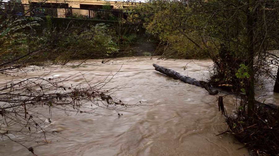 Water from the rising Santa Rosa Creek rushes like a river Dec. 11 at the South A Street bike path entrance. (Jeanine Flaton-Buckley/Oak Leaf)