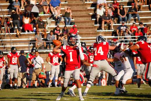 Bear Cubs Quarterback Vincent Jefferies looks to pass.