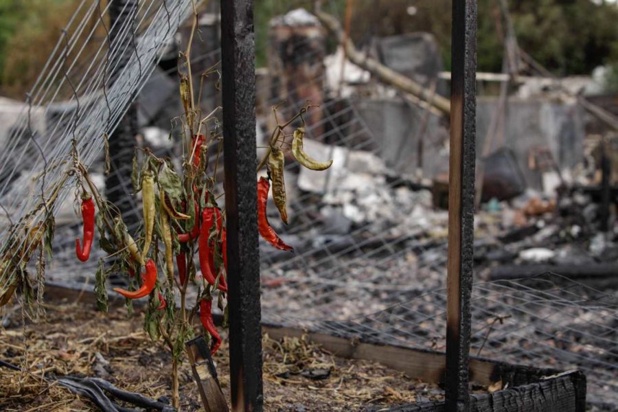 Valley fire leaves Middletown Calif. with utter destruction after tornado of fire blew through the town on the evening of Sept. 12. Residents reported having to flee the fire as the surrounding mountains were ablaze. The Red Cross has set up a shelter at the Napa County Fairgrounds in Calidstoga, Calif.