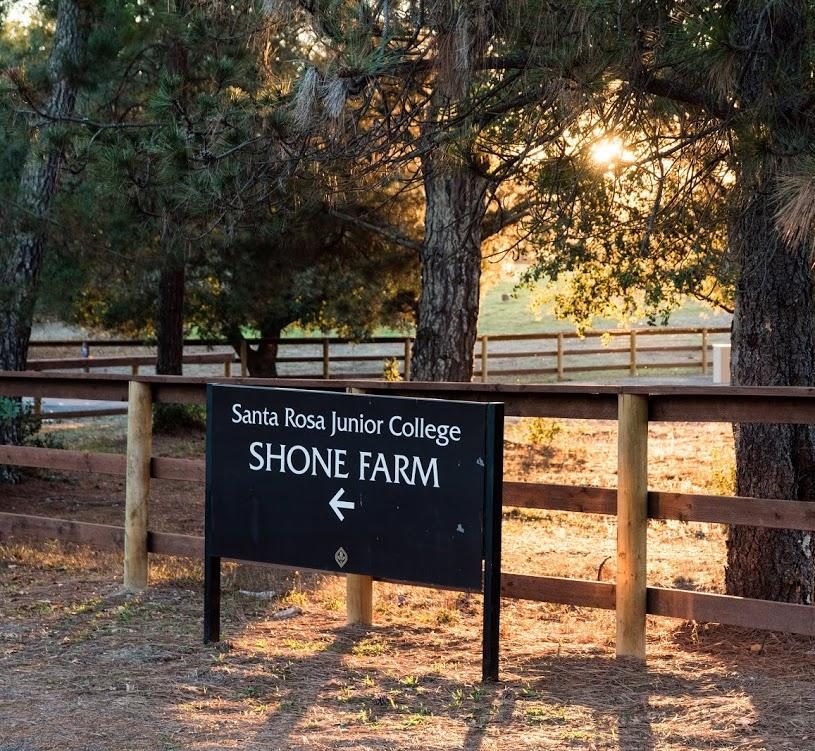 Shone Farm, a 365-acre “outdoor learning laboratory,” is home to SRJC’s agriculture/natural resources department and one of the source’s of food for the college’s cafeteria.