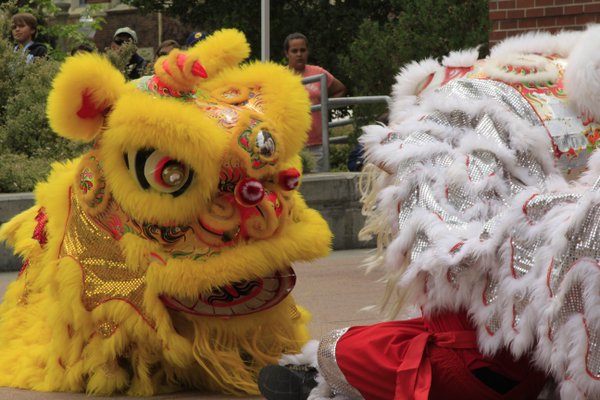 Redwood Empire Chinese Association members preform a lion dance in Bertolini quad.