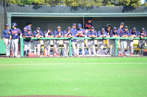 The Santa Rosa Junior College baseball team looks on as it battles against Cañada College Feb. 27 in Redwood City. The Bear Cubs lost 12-5 for only their second loss of the 2016 season. 