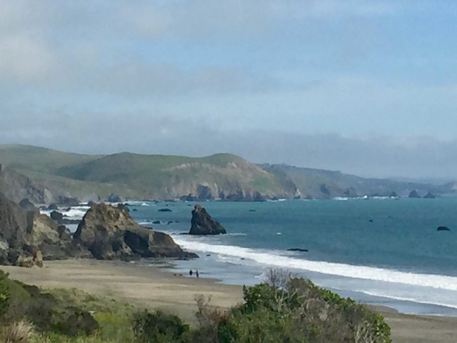 Blue Water Bistro is a well earned title as the view from the restaurant is a magnificent panorama of the beach below. 