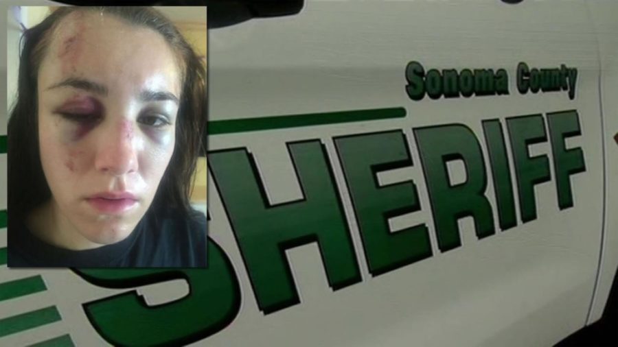Gabbi Lemos' attorney Izaak Schwaiger said Sonoma County law enforcement is covering their tracks by prosecuting a teenager with no prior criminal record, costing the county tens of thousands of dollars.