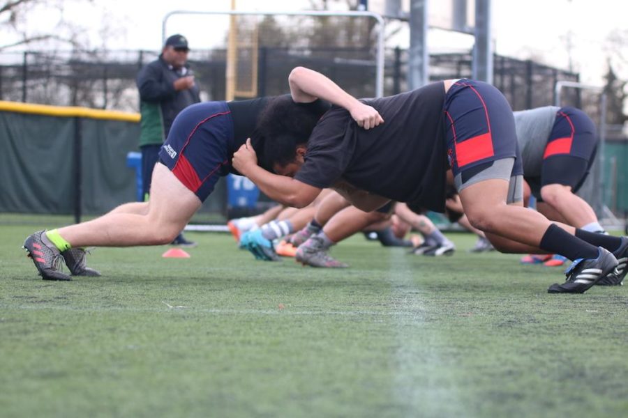 Santa Rosa Junior College rugby team start practice with scrumming drills with the forwards and second rows.