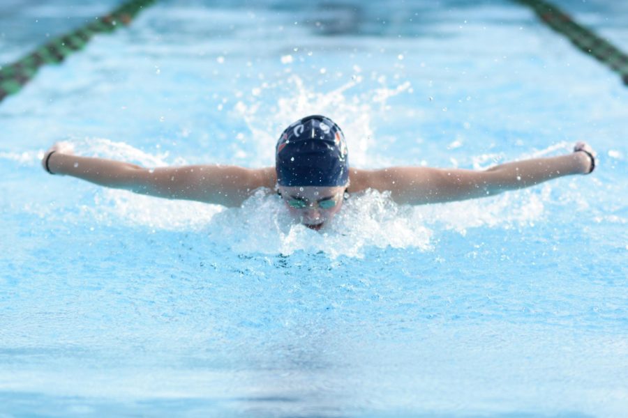 SRJC swimmer Taylor Sargis leaps out of the water mid butterfly stroke during the Cuesta Invitational March 11.