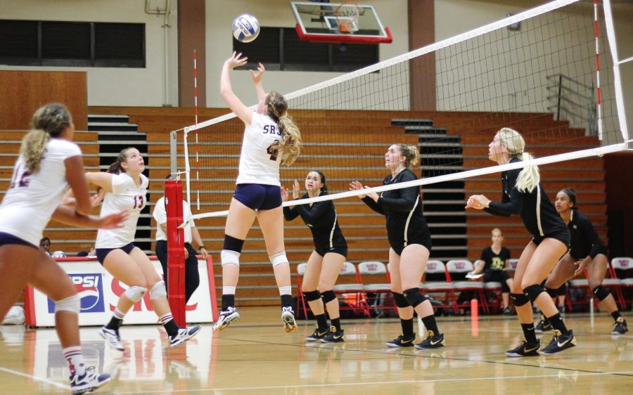 Sophomore Katie Williams waits to pop up and spike the ball in the Bear Cubs loss to San Joaquin Delta College on Sept. 15 in Hael Pavilion.