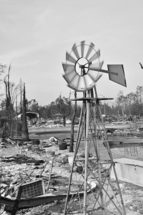 Michelle Poggi, Santa Rosa Junior College director of student outreach, lost her home in the devastating
firestorm. Pool water became sludge filled with ash and other debris. PC James Wyatt