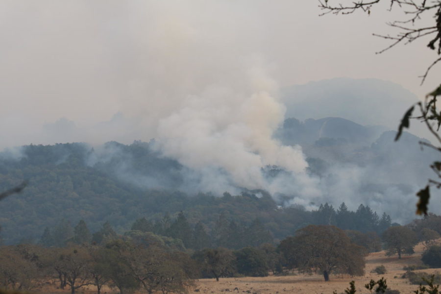 A fire blazes in Annadel State Park east of Annadel Heights.