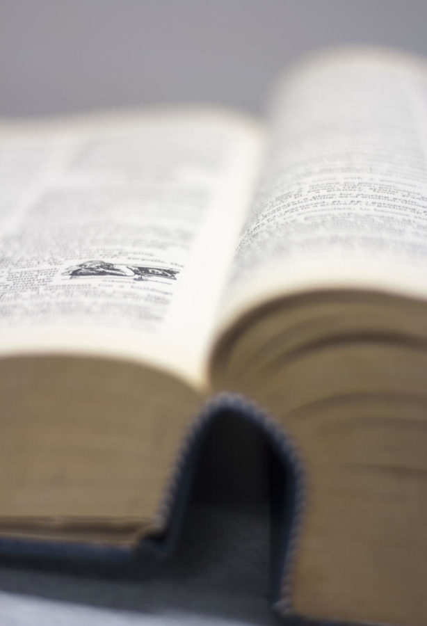 Dakota's Dictionary: Consent