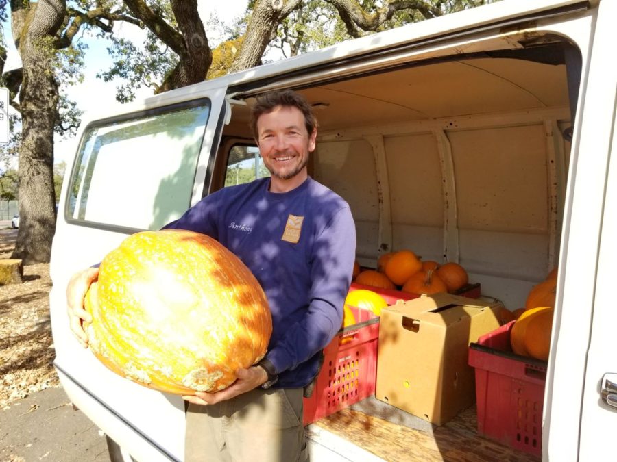 Shone Farm coordinator Anthony Blondin delivers pumpkins to SRJC child development center on Thursday.