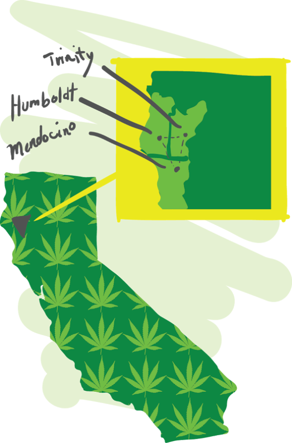 Humboldt, Mendocino and Trinity counties comprise the Emerald Triangle.