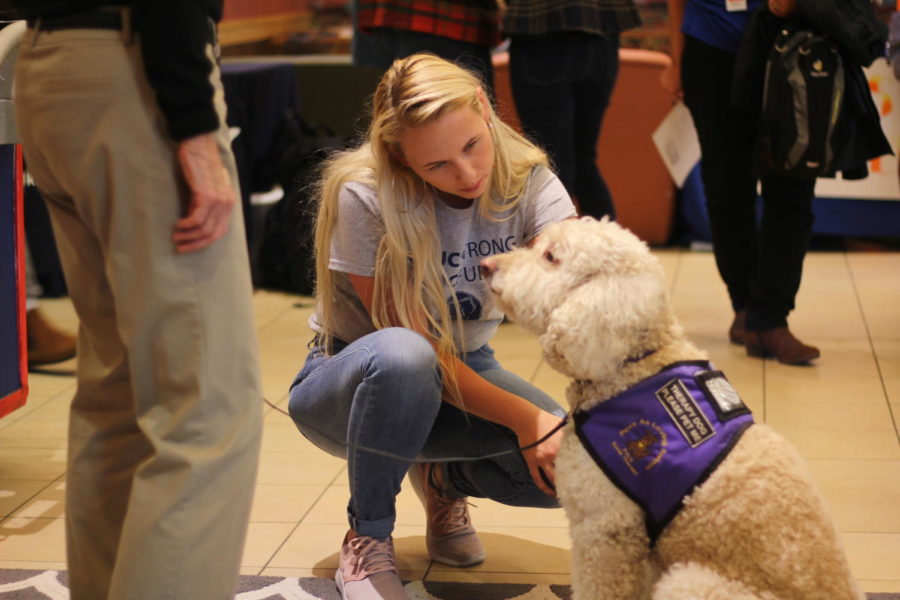 Student utilizes therapy dogs provided by Paws As Loving Support during the SRJC Strong event. 