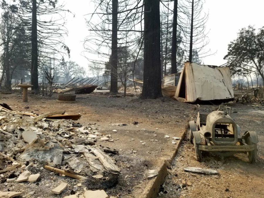 A fire-ravaged neighborhood in Santa Rosa.