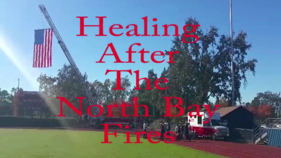 Healing+after+the+North+Bay+fires