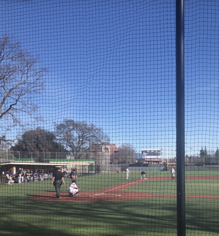 Bear Cubs catcher Cole Brodnansky sits in position at home plate, ready for the game to resume play.