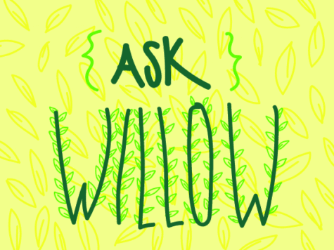 Ask Willow: Scared for a suicidal friend