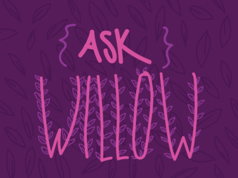 Ask Willow: Alone