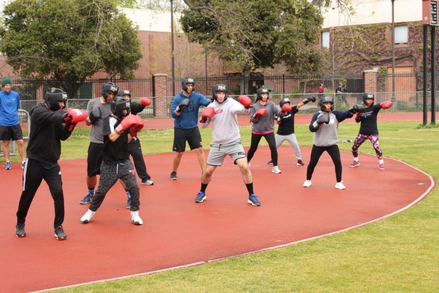 A Santa Rosa Junior College combat class practices boxing on Bailey Field.