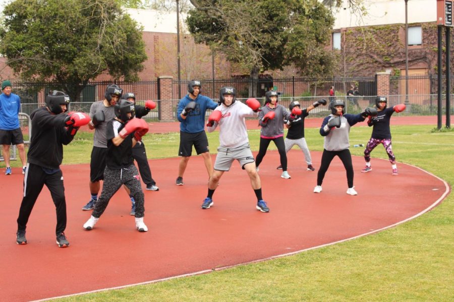 A Santa Rosa Junior College combat class practices boxing on Bailey Field.