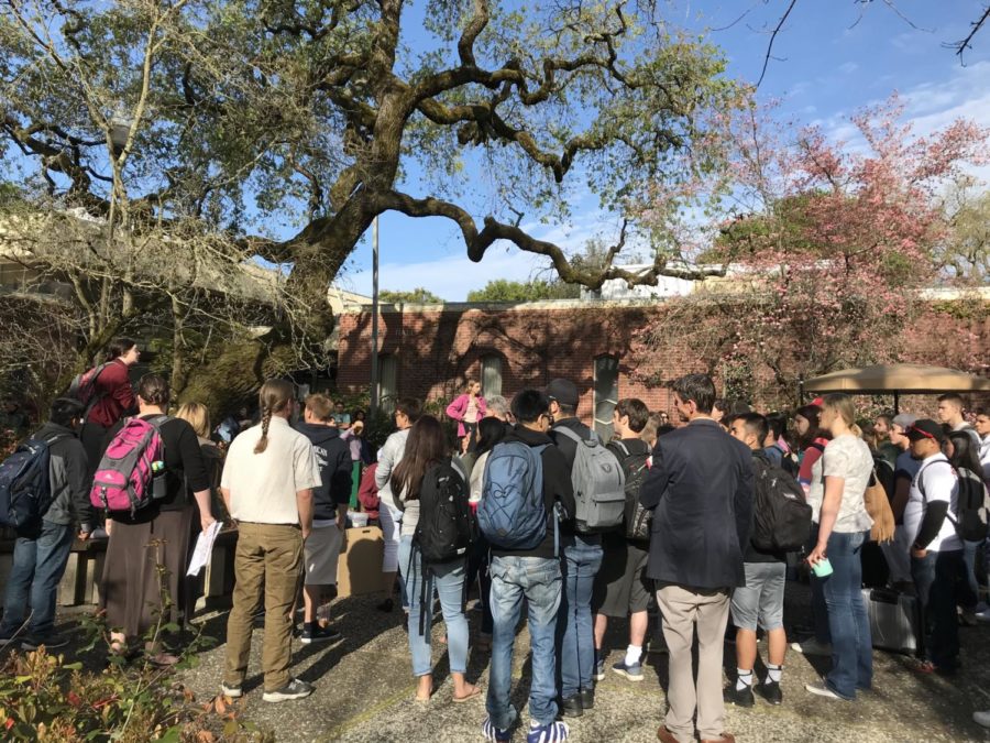 Students and faculty thronged outside President Frank Chong's office Monday morning to protest the sudden slashing of sumer classes. Chong listened to concerns and answered questions for more than 30 minutes. Photo by Jennifer Do.