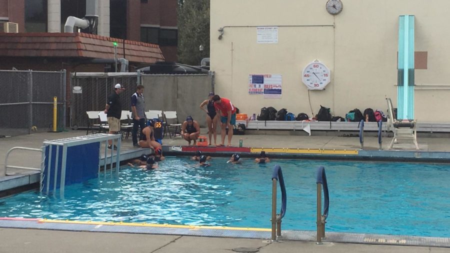 Head+coach+Joey+Doyle+encourages+the+Bear+Cubs+during+a+timeout.+