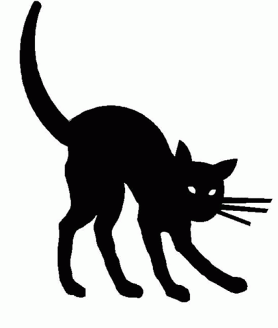Cat-Cast, Crazy Cat Guys