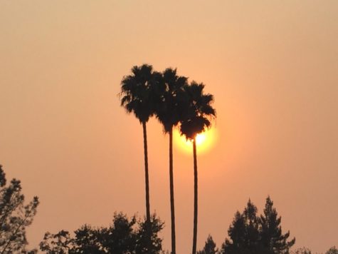Butte County Fire causes SRJC closure