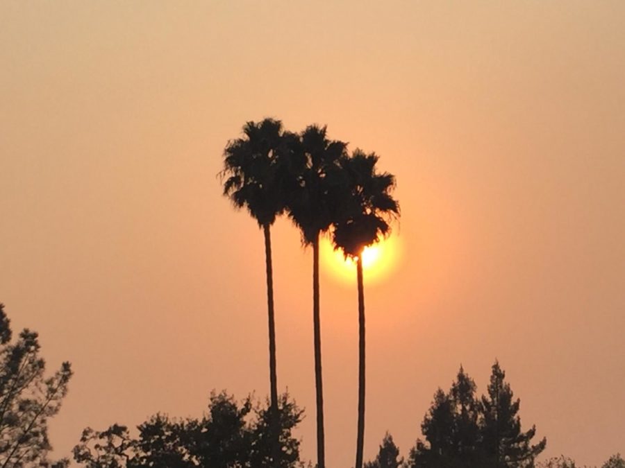 The sun sets behind a set of palm trees near Analy Village as smoke from the Butte County fire encompasses the surrounding area.