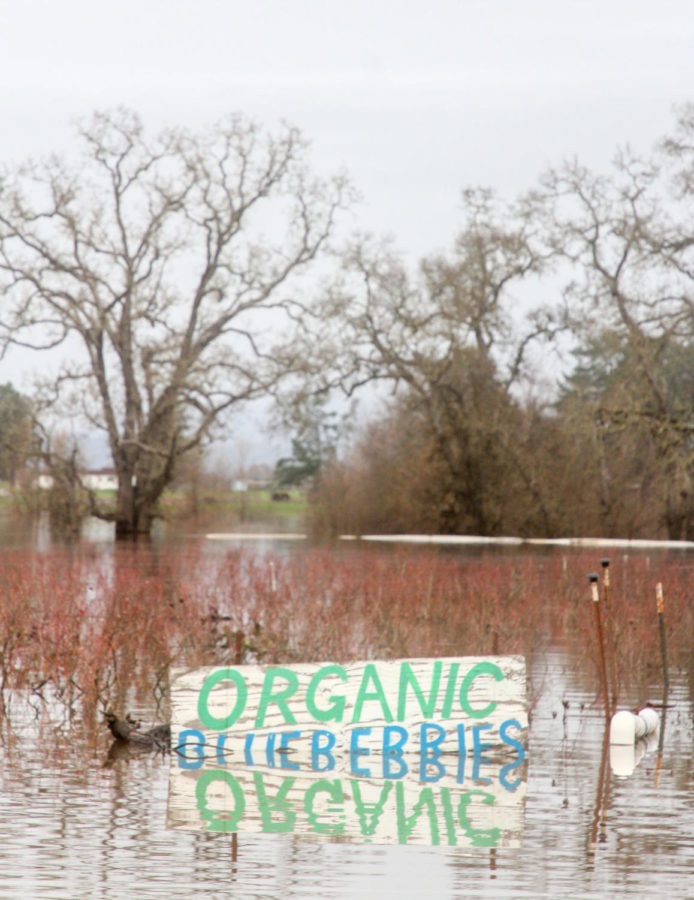 Sonoma County received 10 inches of rain after a county-wide storm caused a power outage at SRJC Santa Rosa campus.