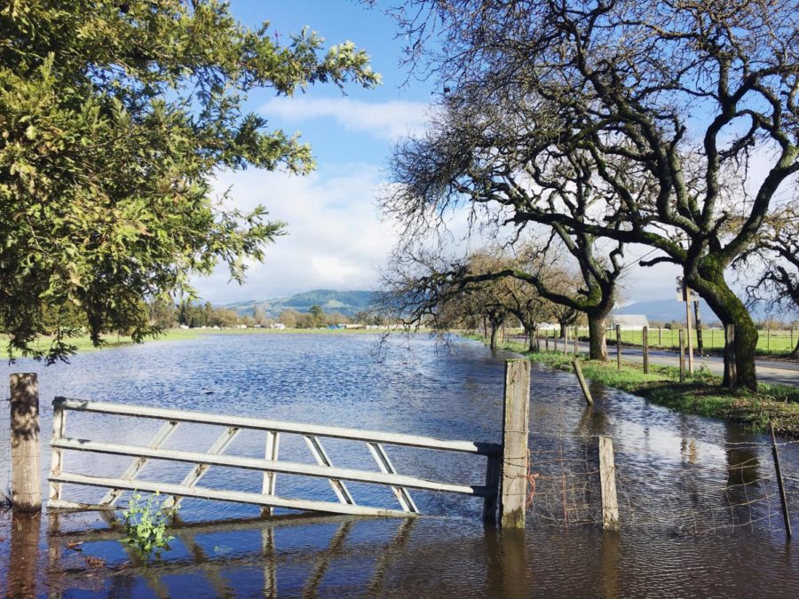 After 24 hours of pouring rain, a break in the storm on Feb. 15 reveals the flooded areas of Sonoma County.