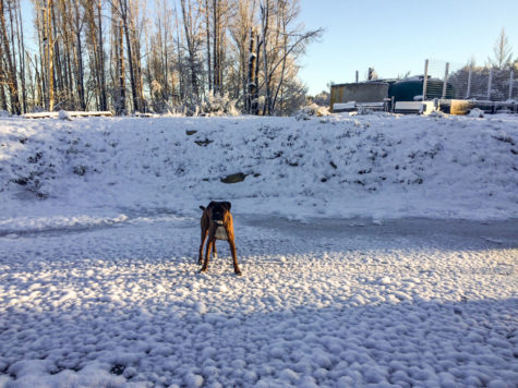 Not quite a snow day