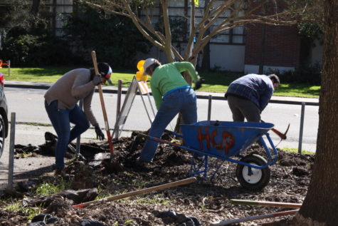 Elliott Avenue’s Garden Makeover