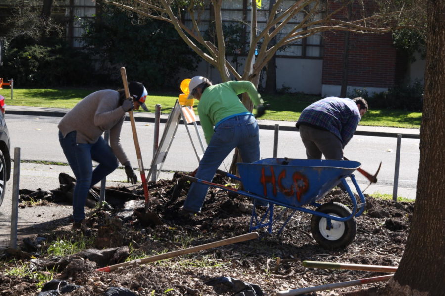 Removing old liner, rocks and cardboard used for weed prevention during the wait for a delivery of new topsoil.