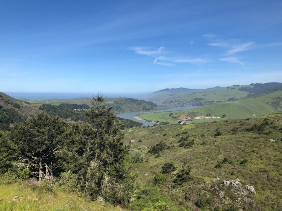 Relaxing hikes in Sonoma County