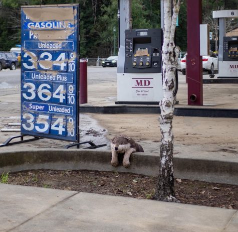 A forgotten stuffed animal sits alone at a gas station during floods that crippled Guernville in February of 2019.