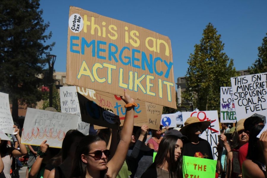 Approximately 2000 people gather for the Climate Strike Sept. 20 in downtown Santa Rosa.