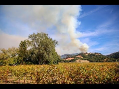 SRJC-TV: Breaking News – Kincade Fires Oct, 24, 2019