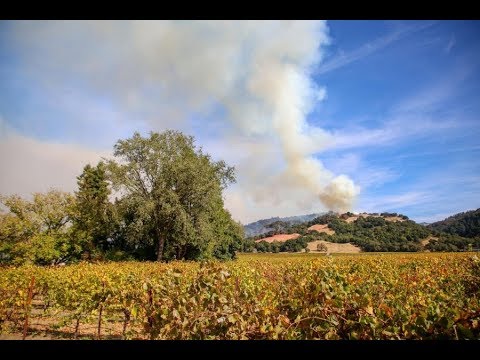 SRJC-TV: Breaking News - Kincade Fires Oct, 24, 2019