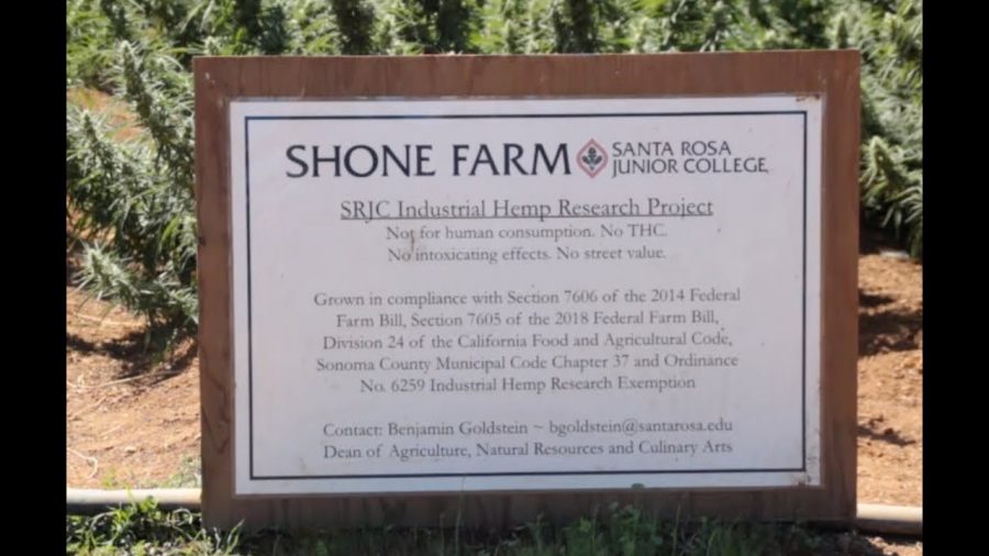 SRJC-TV: "The Oak Leaf Online" on SRJC's new Hemp Program