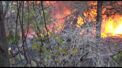 SRJC-TV: “The Oak Leaf On-Line” after the Kincade Fires
