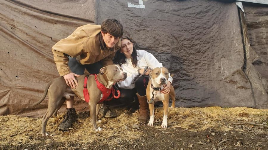 Zayin and Aurora, thought to be the youngest campers on the Joe Rodota Trail, sit outside their tent with their pitbulls Hitty and Fawn while fellow residents check on the couple, thought to be the youngest on the trail. 