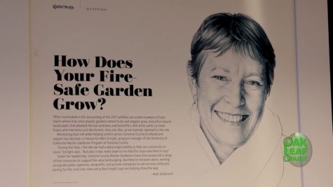 Digital Journalism: Firewise Landscaping